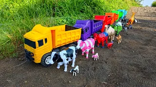 Wow‼️Menolong Sapi Warna Warni Kerbau Unta Gajah Paus Orca Kuda Harimau Owl diangkut Truk Oleng
