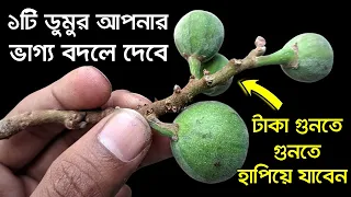 এই ফলের এক টুকরো ভাগ্য বদলে দেবে, 7 জন্ম পর্যন্ত সম্পদ শেষ হবে না, যা চাইবে তাই দেবে?