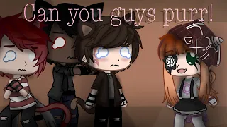 [FNAF] Spagetti, Teddy bear and Freddy are cats for 24 hours