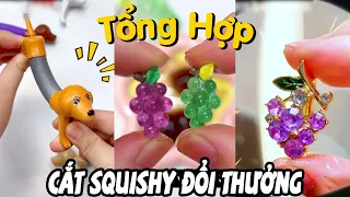 Tổng Hợp Cắt Squishy Đổi Thưởng Tập 21 | Quả Nho Đính Kim Cương Trong Quả Núng Nính (Dương Thộn)