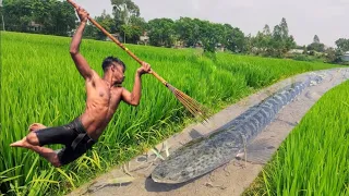 😲Top Fishing Video 2023 🖤 Experts Fisherman Big Fish Catching In Water Drain 🖤 Best Fishing Video