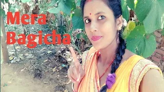mera bagicha मेरा बगीचा #vlog #simasonufany