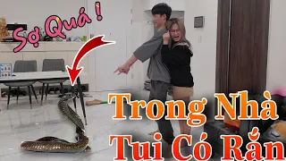 [Vlog] Trong Nhà Gao Bạc Xuất Hiện "Rắn Lạ" Và Pha Xử Lý Rắn Đi Vào Lòng Đất Khiến Cô Ngân Khóc Thét