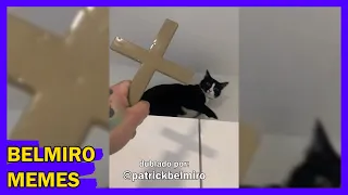 Belmiro Memes: Melhores dublagens engraçadas da semana 26