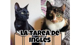 La tarea de inglés