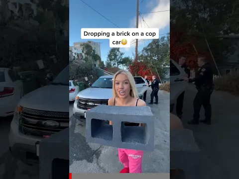 Dropping A Brick On A Cop Car (PRANK) #shorts