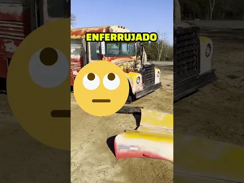 POR QUE OS ÔNIBUS ESCOLARES SÃO AMARELOS? 😥