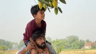 बच्चों ने आम तोड़ने का गजब दिमाग लगाया 🤣😂  #Comedy #Funny #ViralVideo #ShivamMaurya