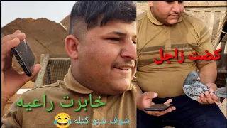 صيد حمام زاجل🕊️ خابرت راعيه😎شوف شنو كتله 😂#اكرم_الصياد