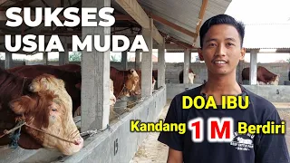 ROGOH UANG PRIBADI 1 M BANGUN KANDANG SAPI MODERN BERKAT DOA IBU ‼️