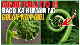 GRABE PALA ANG EPEKTO SA ATING KATAWAN NG GULAY NA PAKO o FERN | BHES TV