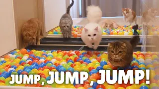 Ballpool Obstacle Course Challenge