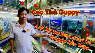 Cao Thủ Guppy | Anh Kỹ Sư Sưu Tầm Cá Bảy Màu Tiền Triệu | Betta Sales