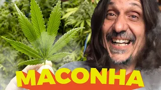 MACONHA E A VANGUARDA BRASILEIRA - EDUARDO BUENO