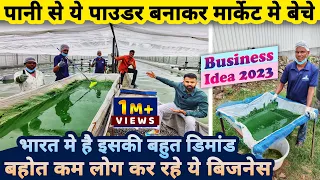 पानी से ये पाउडर बनाकर मार्केट मे बेचे, और बनाएं बड़ा बिज़नेस🌏| business ideas | spirulina farming