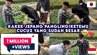 Ketemu kakek Jepang 🇯🇵baiknya Sama dengan kakek di Indonesia🇮🇩🥺