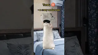 Сборник "Знаки Зодиака"