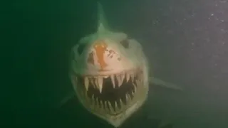 Si Le Tienes Miedo Al Oceano NO MIRES ESTE VIDEO!
