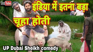 इतना बड़ा चूहा होती | UP Dubai Sheikh Comedy | #viral Comedy video 2022 || Mr DILIP COMEDY