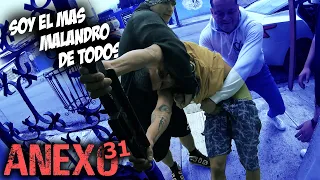 Anexo 31 | Christian Meza