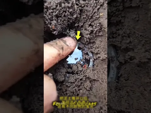 Digging Uncovers Smartwatch😍❤️#shorts #shortsfeed #viral