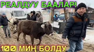 САТЫП АЛЫНГАН РЕАЛДУУ БААЛАР 🤯 #малбазар2026 