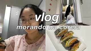 vida na coreia | vlog: dias simples, cozinhando, sanduíche coreano, primeiro passeio do pingu