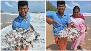 കുക്കർ പൊട്ടിത്തെറിച്ചു 💥  just miss കൂന്തൽ കണവ തന്ന പണി 😱kerala Octopus cooking