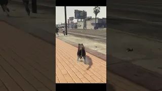GTA 5 Live – Black Panther City Adventure