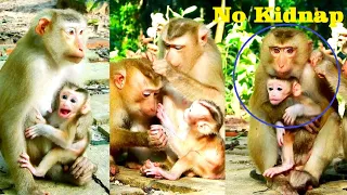 Best Action of Monkey Lexi Go/t Training, Newborn Monkey Is Very Clever to Go Up And Down By Himself