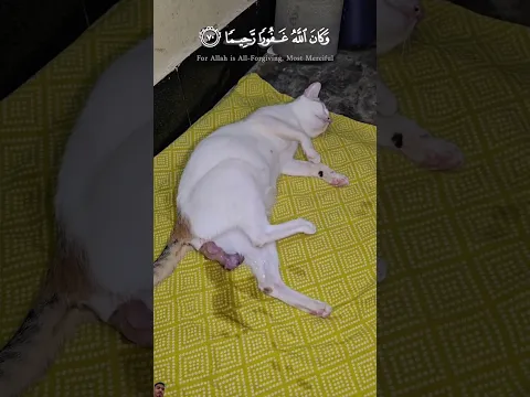 #anime #art #automobile #trending #تيك_توك #لايك #سبحان_الله #funny #shortvideo #اكسبلور