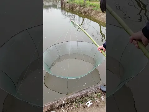 Lưới câu cá gấp gọn siêu dính - cách câu cá với dưa hấu #17 #shorts  #fishing  #fishingnets