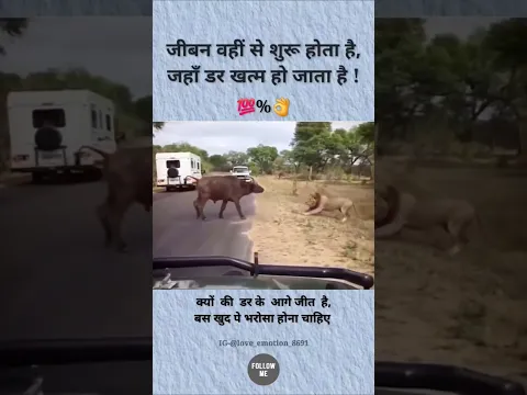 जीबन वहीँ से शुरू होता है जहाँ डर खत्म हो जाता है 👍 Motivational Quotes ! Motivational Video #shorts