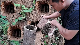 Full: Build a cave house for lovely honey bees🥰 | Tropical Forest Bees #bees  #honey