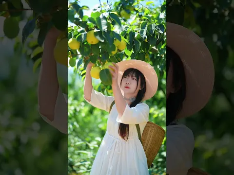 Beautiful Nature with Rural Life (P157) - Countryside life with fresh fruits