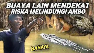 asik kasi makan riska,tiba tiba ada buaya lain mendekat,riska auto ngamuk
