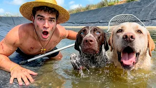 ¡Encontré DOS PERROS Atrapados en una BALSA! Y Tuve que Ganarme su Confianza para Salvarlos…