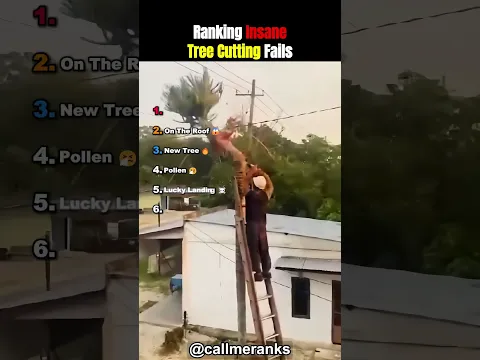 Ranking Insane Tree Cutting Fails! 🌴💀🤣