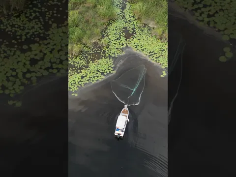 La mejor tecnica para atrapar muchisimos peces con atarraya
