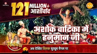 रामायण कथा |अशोक वाटिका में हनुमान जी