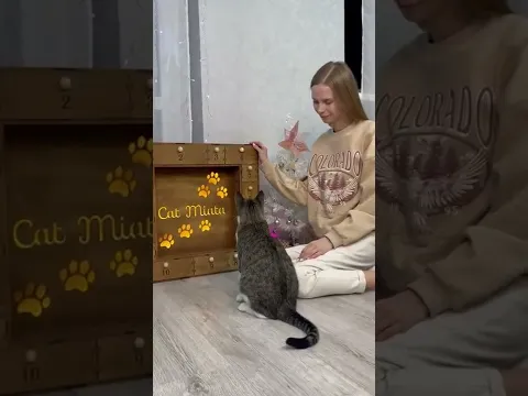 ОТКРЫВАЕМ АДВЕНТ-КАЛЕНДАРЬ ДЛЯ КОШЕК😍