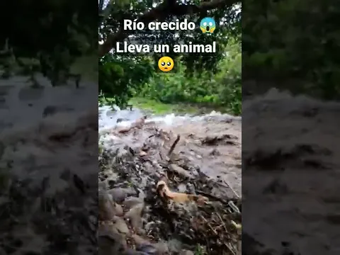 Ríos crecido en El Salvador 🇸🇻