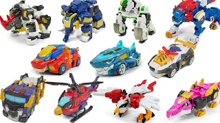 MiniForce AniamlTron All Mecha Lion Hawk Croker Elle BigKong Kora Leo Jaws Tri Cop Transformation