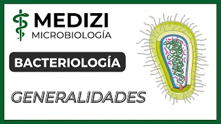 Microbiología - Bacteriología - Introducción a la Bacteriología