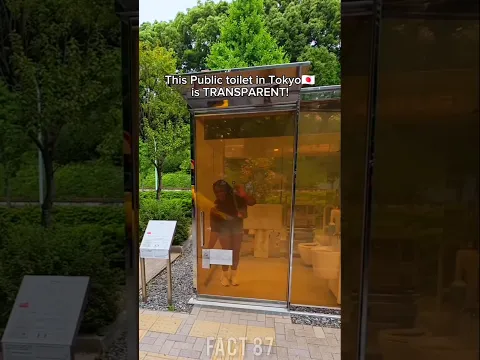 😱japan Transparent Public Toile|#shortvideo