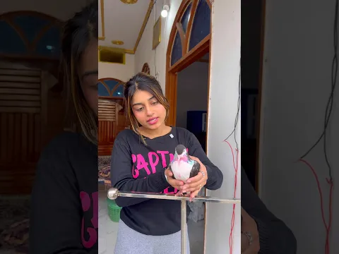 ❤️#kabutar #video ❤️#training #kabutar #video #dosti #pigeon #video 🥰#pigeon #training
