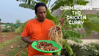 Chamadumpa Chicken Curry - చామ దుంప తో చికెన్ కర్రీ - ఇలా ట్రై చేసి చుడండి కోడి కూర
