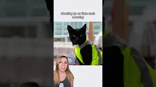 Cat shows up to construction site every day, so workers give him a uniform and a new home