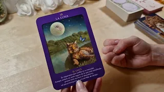 CAPRICORNIO HOY💜IMPOSIBLE DETENER ESTO QUE VIENE💫😍 GRAN LECTURA HOROSCOPO CAPRICORNIO AMOR MAYO 2023