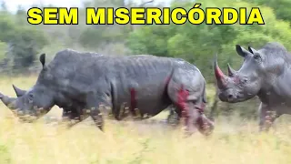 O lado selvagem do rinoceronte!!!